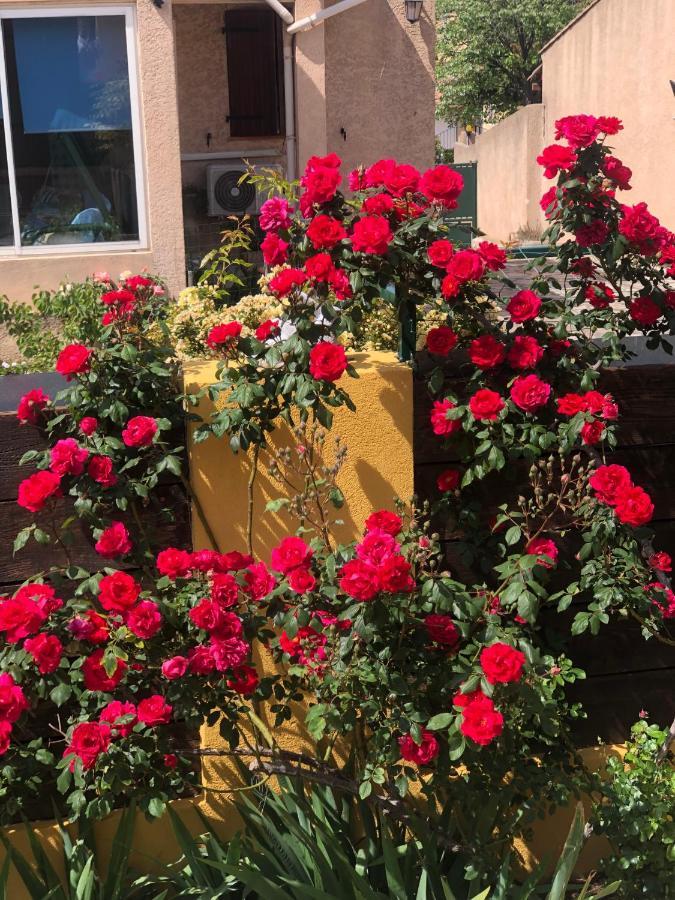 Chez Guy Bed & Breakfast Марсилия Екстериор снимка